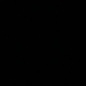 Meet your Posher, Abigail